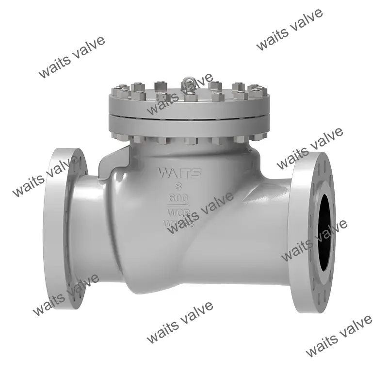 Swing Check Valve