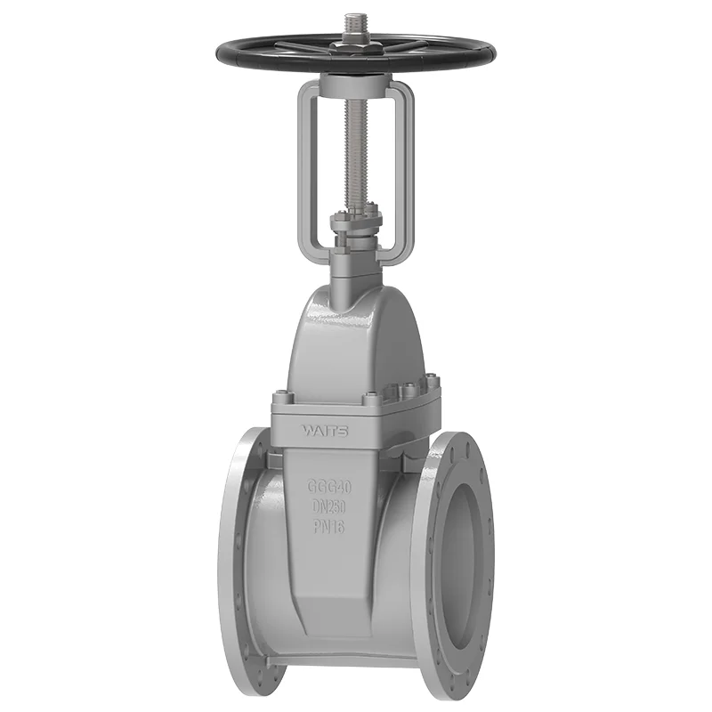 Rising Stem Resilient Seated Gate Valve